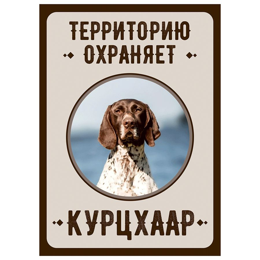 Табличка, Злая собака, Территорию охраняет Курцхаар, на металлической основе, 18см х 25 см, на забор, #1