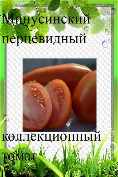 Семена томата Минусинский перцевидный(10 шт семян) #1