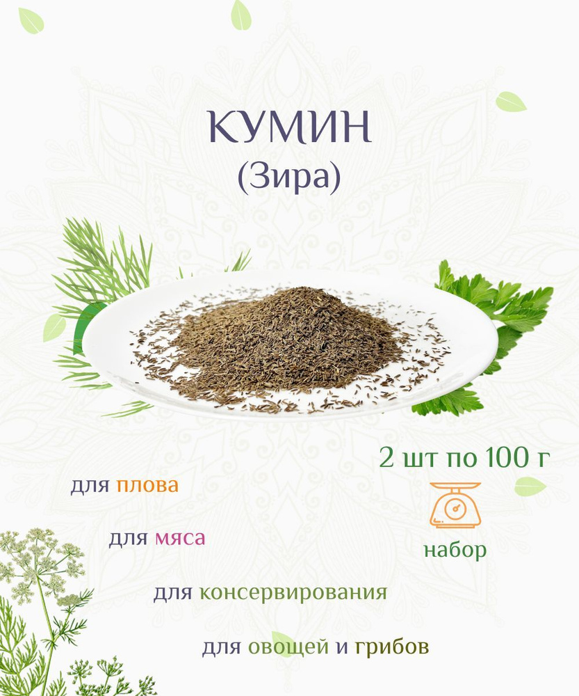 Кумин (Зира) пряный, ароматный, для плова, мяса, овощей, консервации, набор из 2х шт по 100г  #1