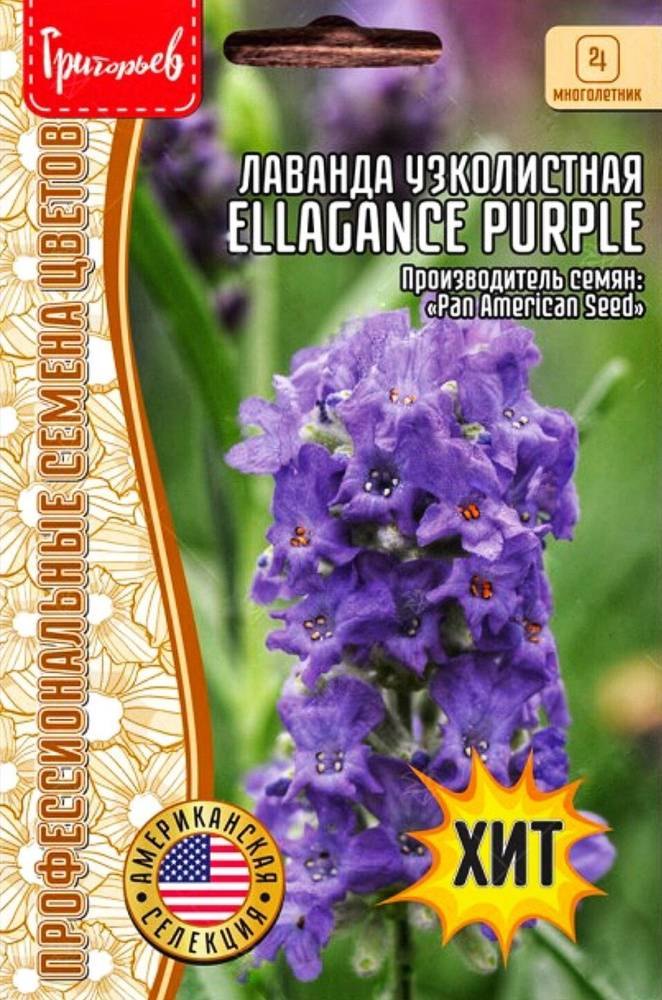 Лаванда узколистная компактная Ellagance Purple, семена 5 шт, 1 пакет, многолетник, ЧК  #1