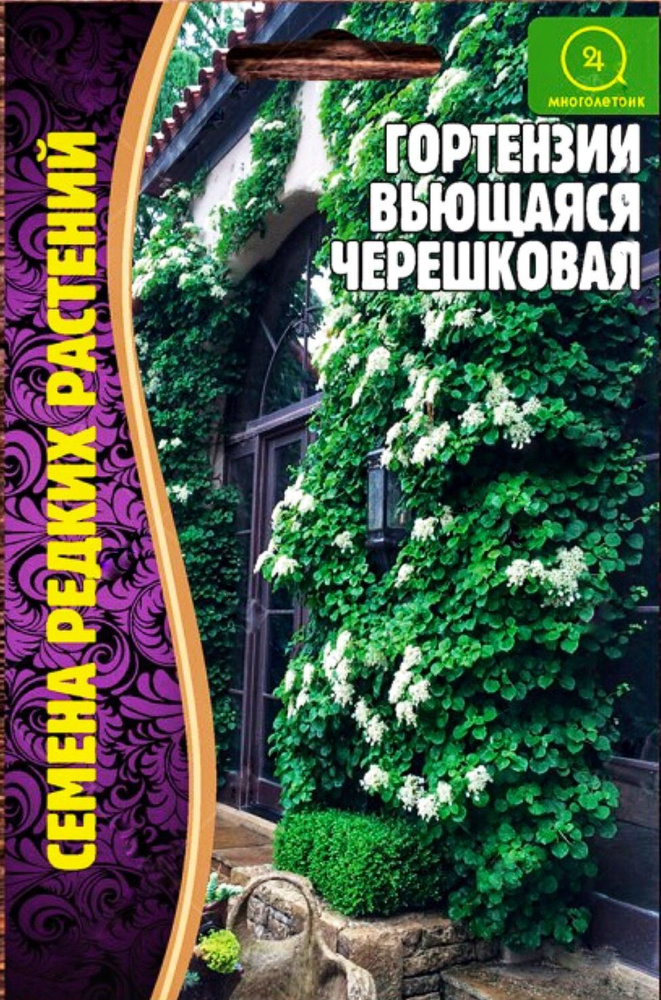 Гортензия вьющаяся Черешковая, семена 20 шт, 1 пакет, лиановидный кустарник, ЧК  #1