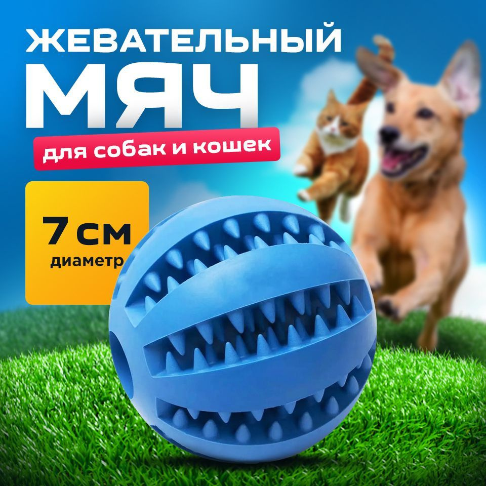 Мяч для собак синий 7 см/для чистки зубов /развивающая жевательная игрушка для мелких и средних пород #1