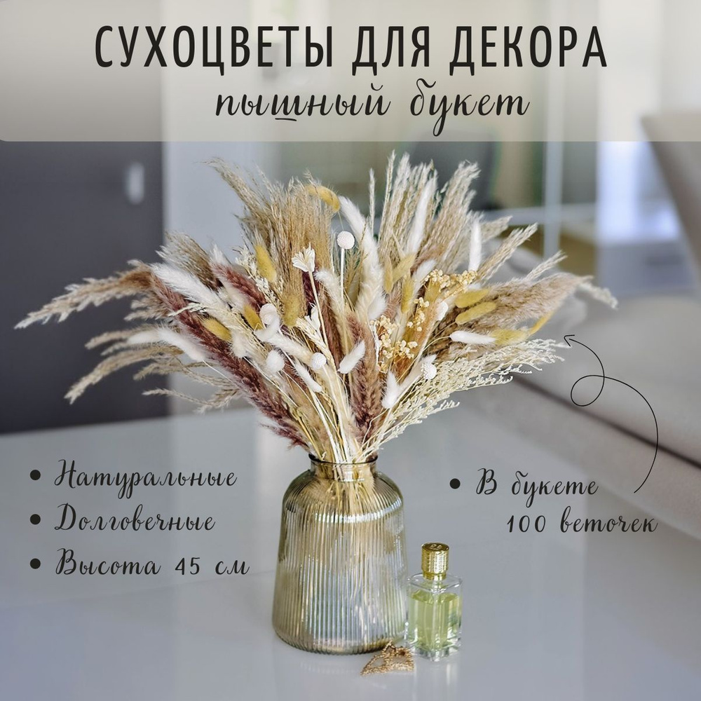 Сухоцветы TRAVADECOR Краспедия, Мискантус, 43 см, 250 гр купить по выгодной  цене в интернет-магазине OZON (1128612505)