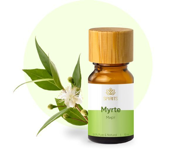 Эфирное масло Мирт 10 мл (Myrtus communis) натуральное для ароматерапии, массажа, тела, волос, кожи, #1