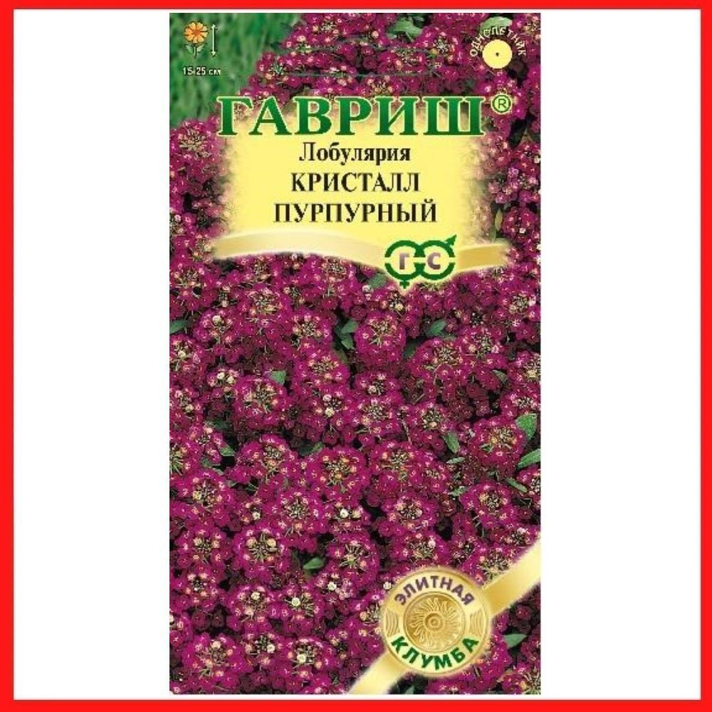 Семена Лобулярия "Кристалл Пурпурный", 15 шт, Алиссум однолетние цветы для дома, дачи и сада, клумбы, #1