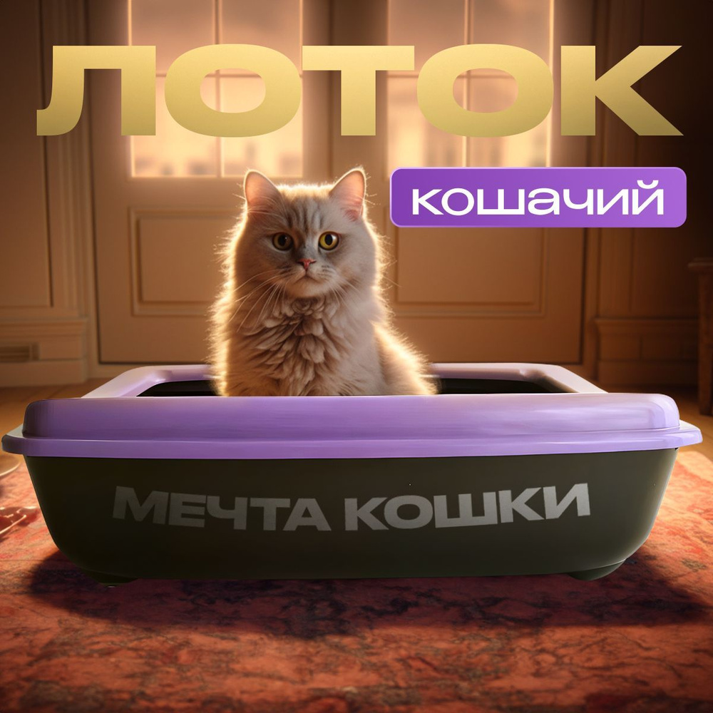 Кошачий лоток "Мечта кошки" Фиолетовый/черный #1