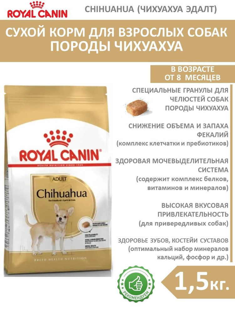 Сухой корм (1.5 кг) для собак породы чихуахуа старше 8 месяцев Royal Canin Chihuahua Adult  #1