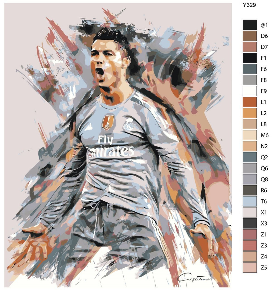 Картина по номерам Y-329 "Футболист Криштиану Роналдо. Реал Мадрид" 60x80  #1