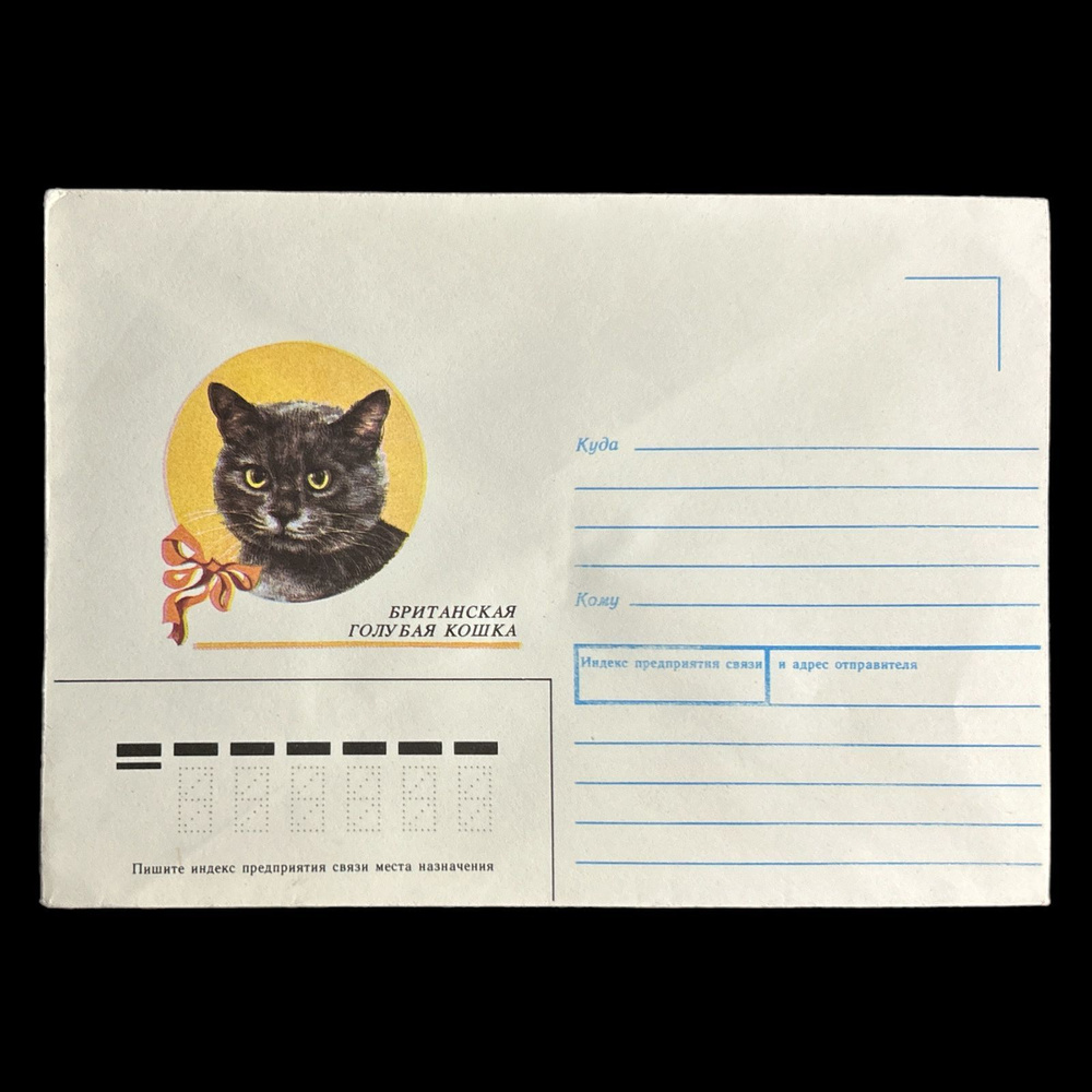 Коллекционный конверт СССР. "Британская голубая кошка" 1991 год  #1