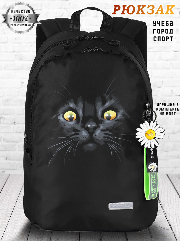 STERNBAUER Школьный рюкзак для мальчика девочки подростка с котом/ Ранец летний городской молодежный #1