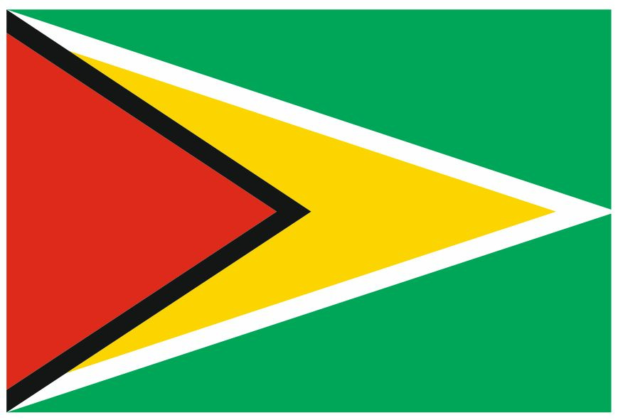 Флаг Гайаны 90х135 см с люверсами #1