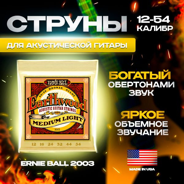 Струны для акустической гитары Ernie Ball 2003 (12-54) #1