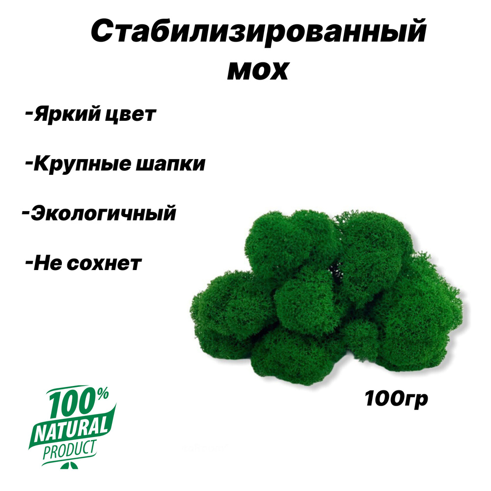 Стабилизированный мох FreshMoss Мох, 100 гр, 1 шт купить по выгодной ...