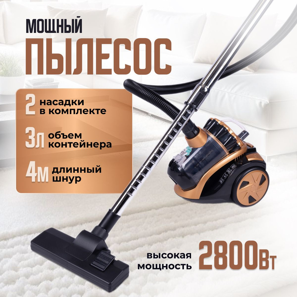 Пылесос для автомобиля экстрактор. Пылесос электролюкс кларио 1800. Пылесосы гувер 1980. Французский пылесос. Профессиональный пылесос для уборки помещений.