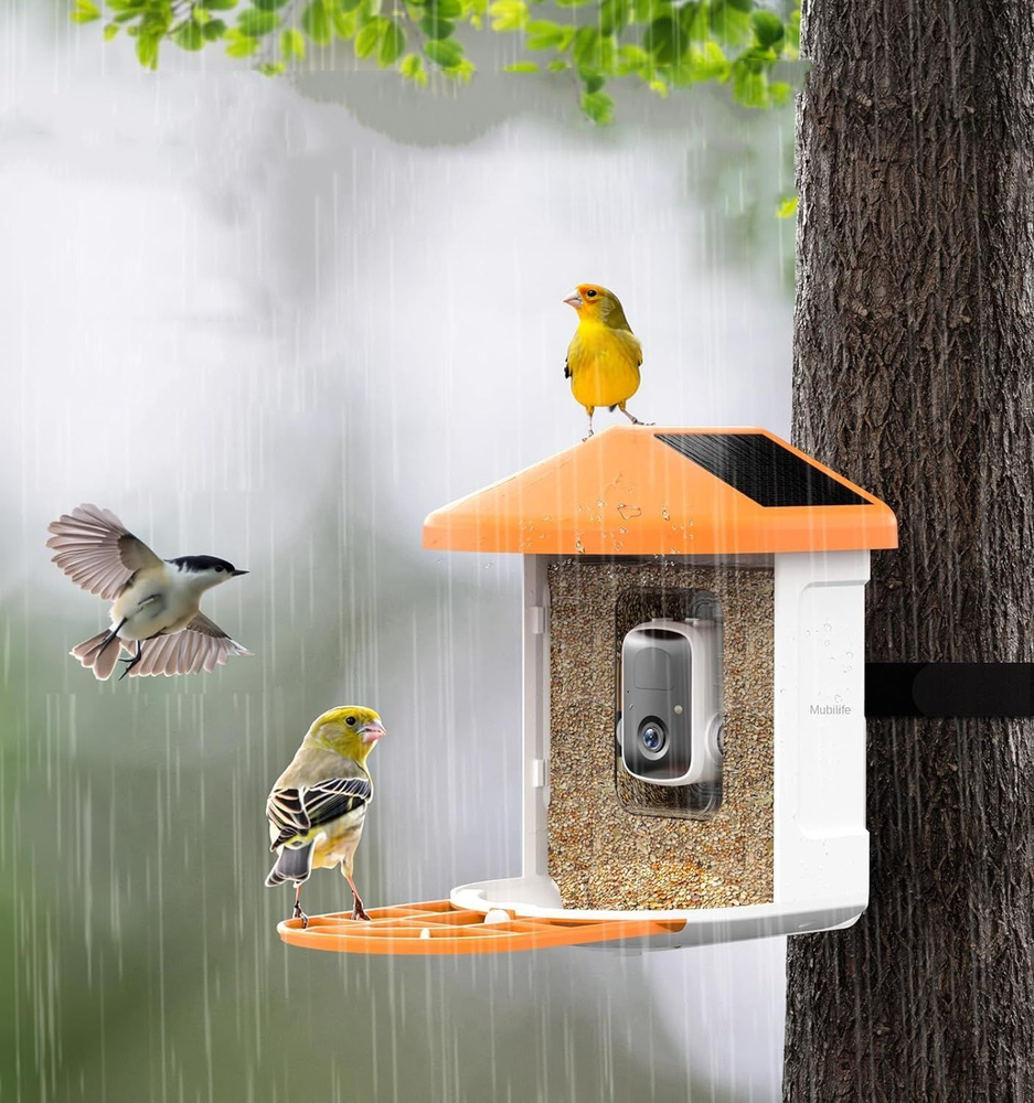 кормушка для птиц, камерой 1080P,Искусственный интеллект распознает ...