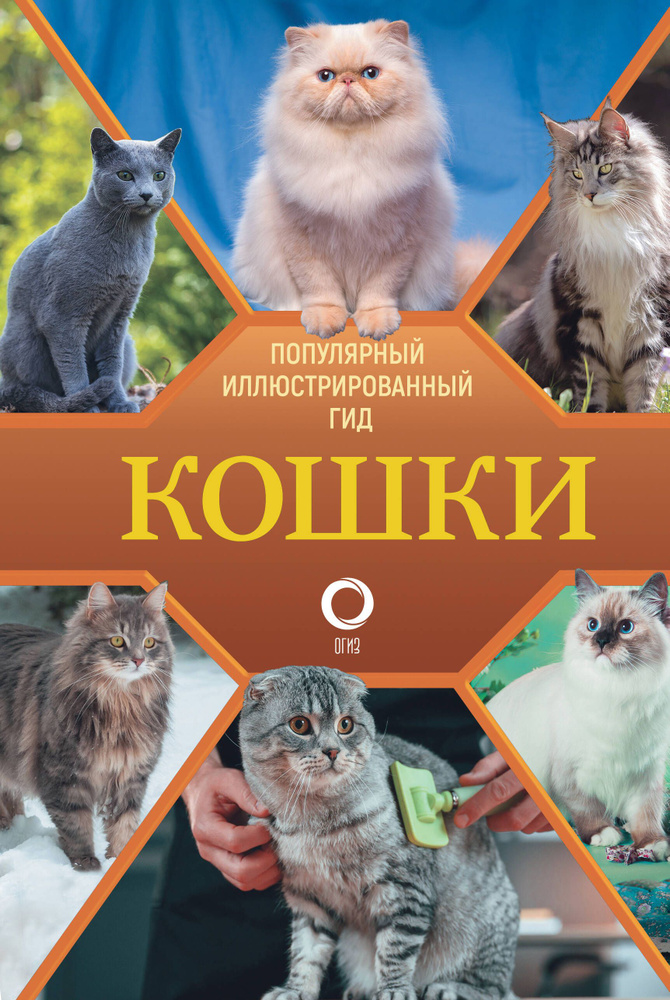 Кошки #1