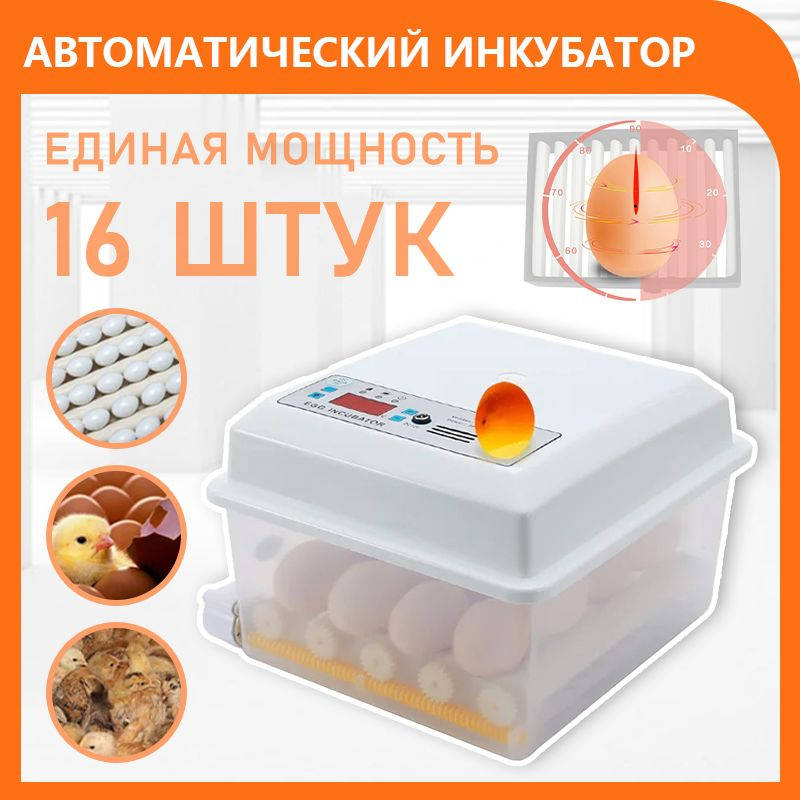 16 яиц, полностью автоматический семейный инкубатор smart egg, один источник питания  #1