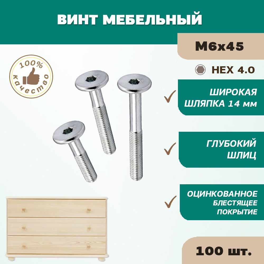 ЦКИ Винт M6 x 45 мм, головка: Плоская, 100 шт. #1