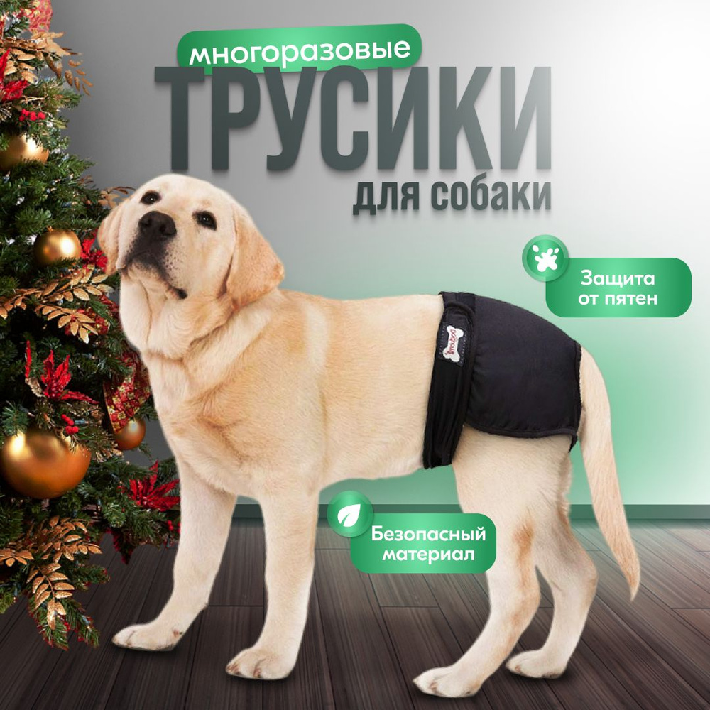 Трусы многоразовые для собаки, во время течки, подгузник для собак ...