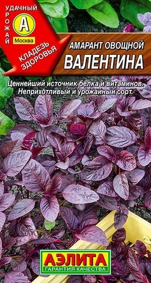 АМАРАНТ ОВОЩНОЙ ВАЛЕНТИНА. Семена. Вес 0,3 гр. Источник бессмертия.  #1