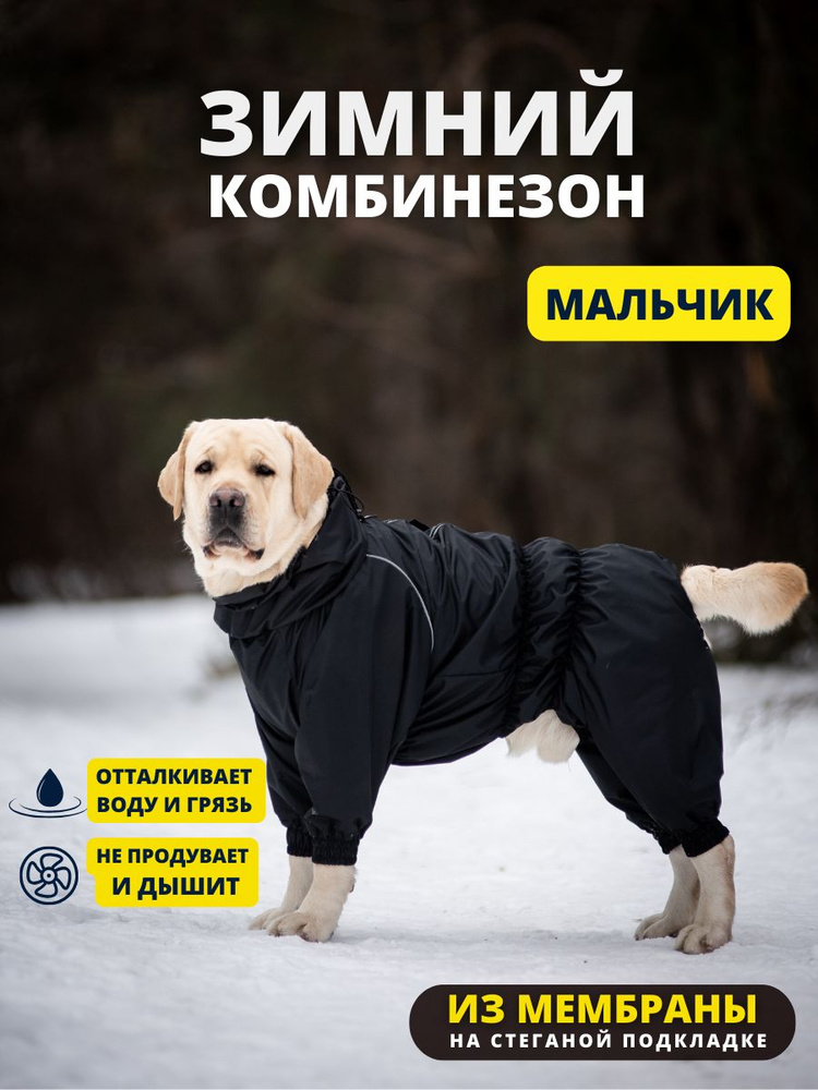Комбинезон зимний для собак крупных пород SNOW plus, 60+м (кобель), черный, 5XL+  #1