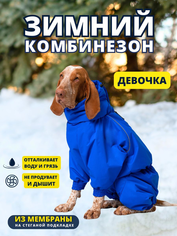 Комбинезон зимний для собак крупных пород SNOW plus, 60+ж (сука), синий, 5XL+  #1