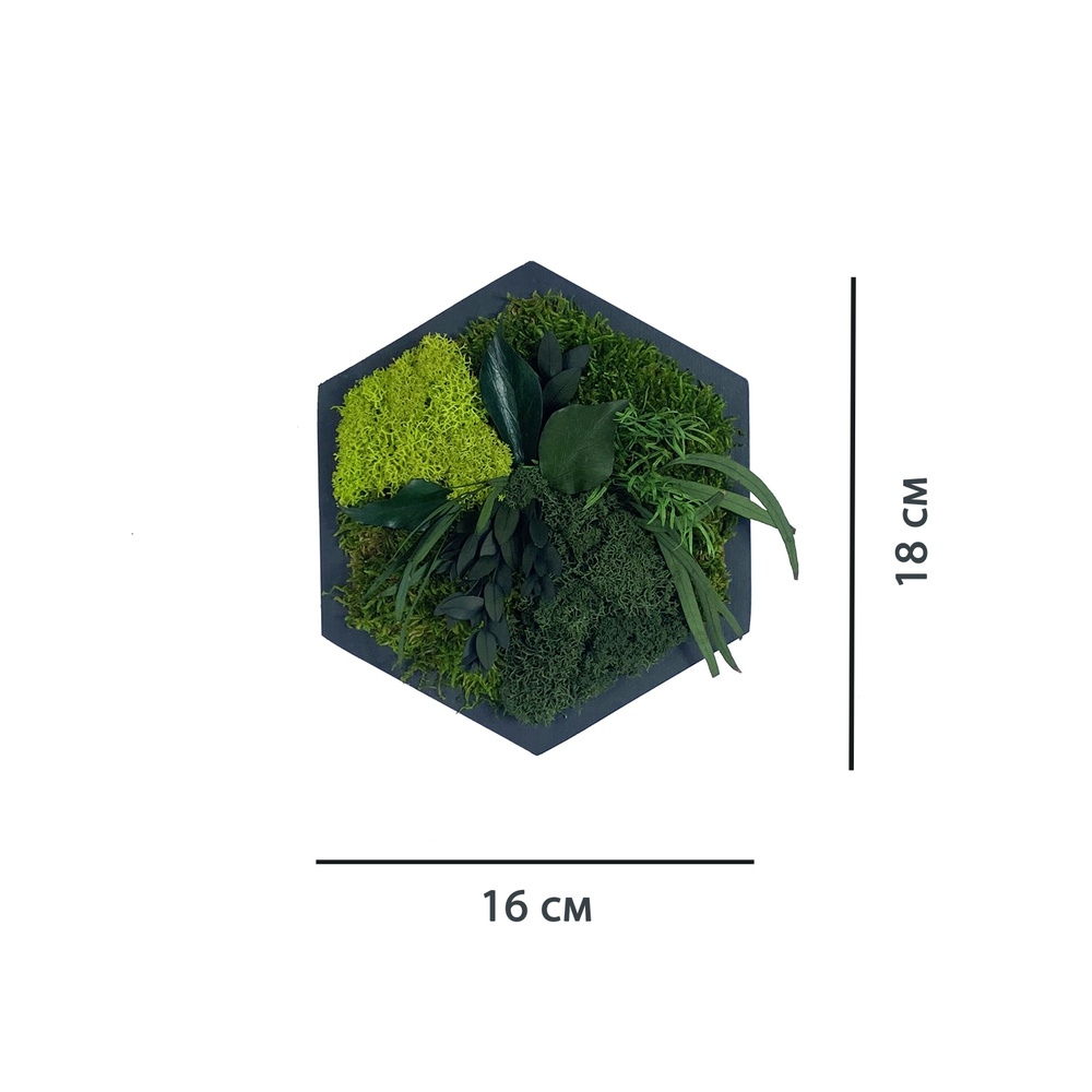 Декор настенное панно сота из мха и растений #1