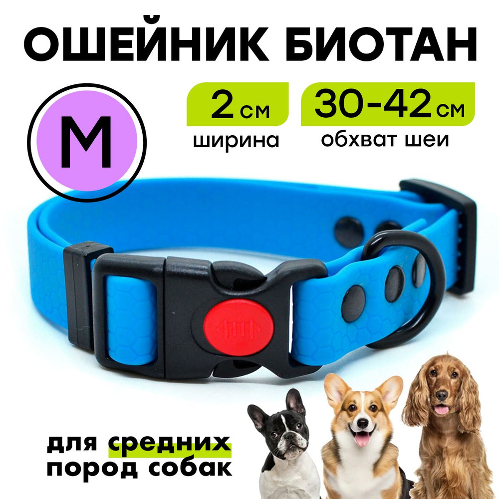 Ошейник из биотана 29-41 см (M), 20 мм, Woofy "Iron", водостойкий, для средних собак, голубой  #1