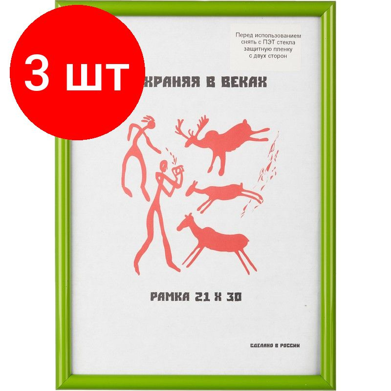 Рамка пластиковая 21x30 (A4) Салатовый, комплект 3 штук, с пластико  #1