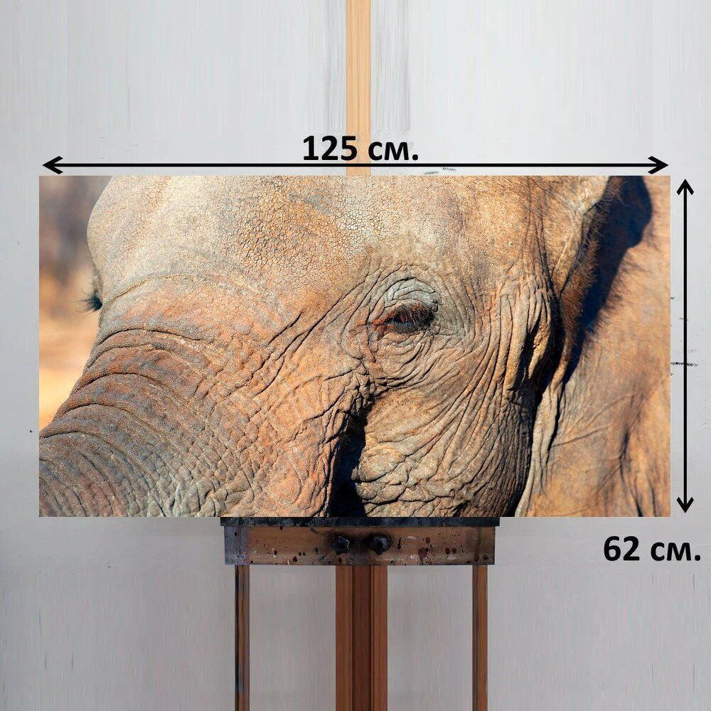 LotsPrints Картина "Слон, толстокожий, глаз 78", 125  х 62 см #1