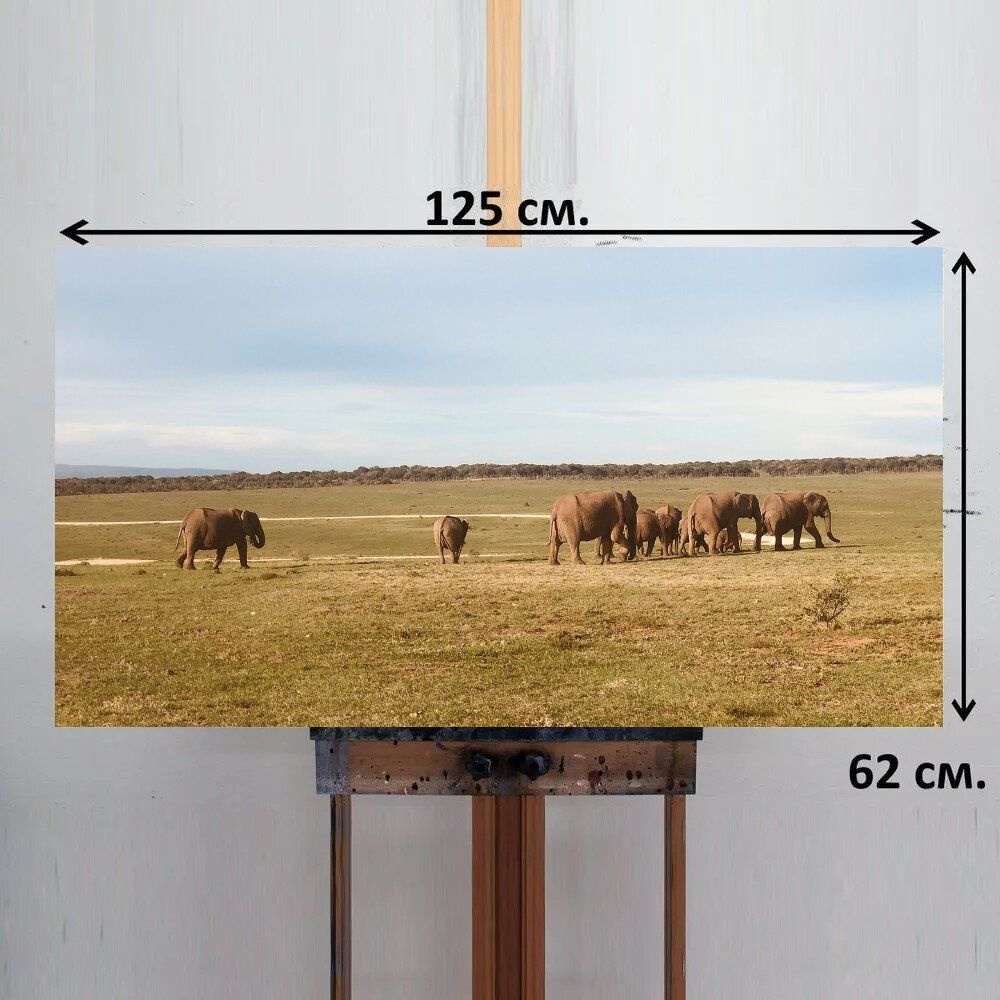 LotsPrints Картина "Южная африка, стадо слонов, слон 86", 125 х 62 см  #1