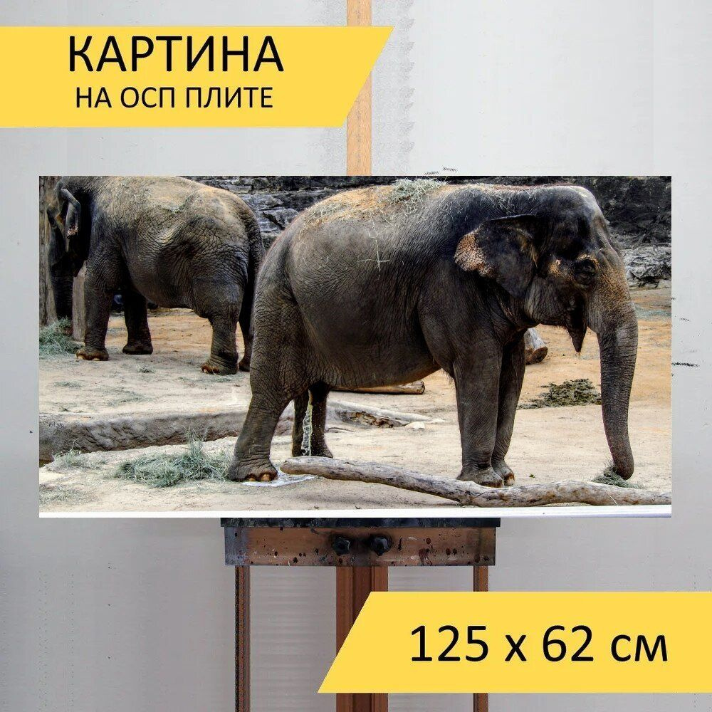 LotsPrints Картина "Слон, зоопарк, млекопитающее 16", 125  х 62 см #1