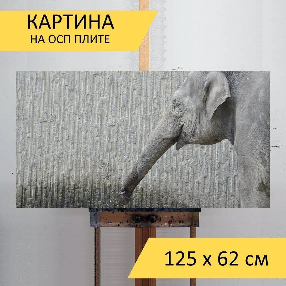 LotsPrints Картина "Слон, зоопарк, серый 42", 125  х 62 см #1