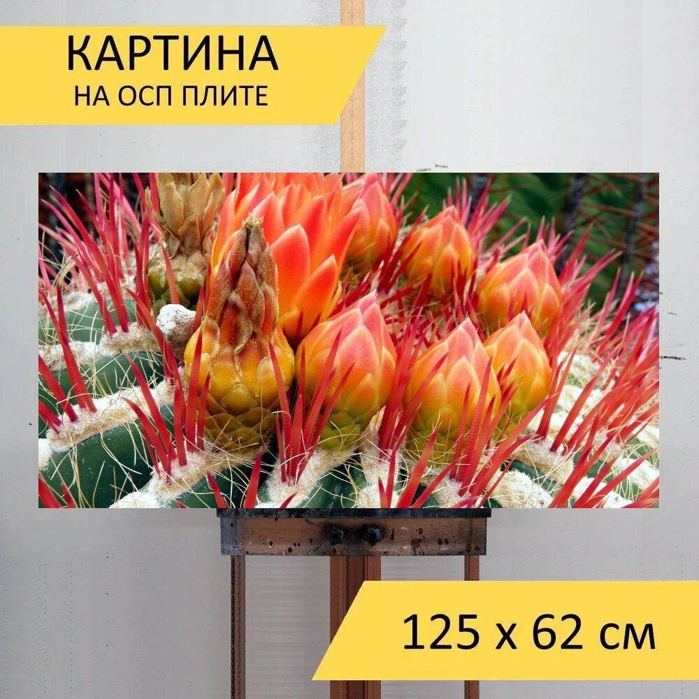 LotsPrints Картина "Кактус, цвести, цветок кактуса 44", 125 х 62 см  #1