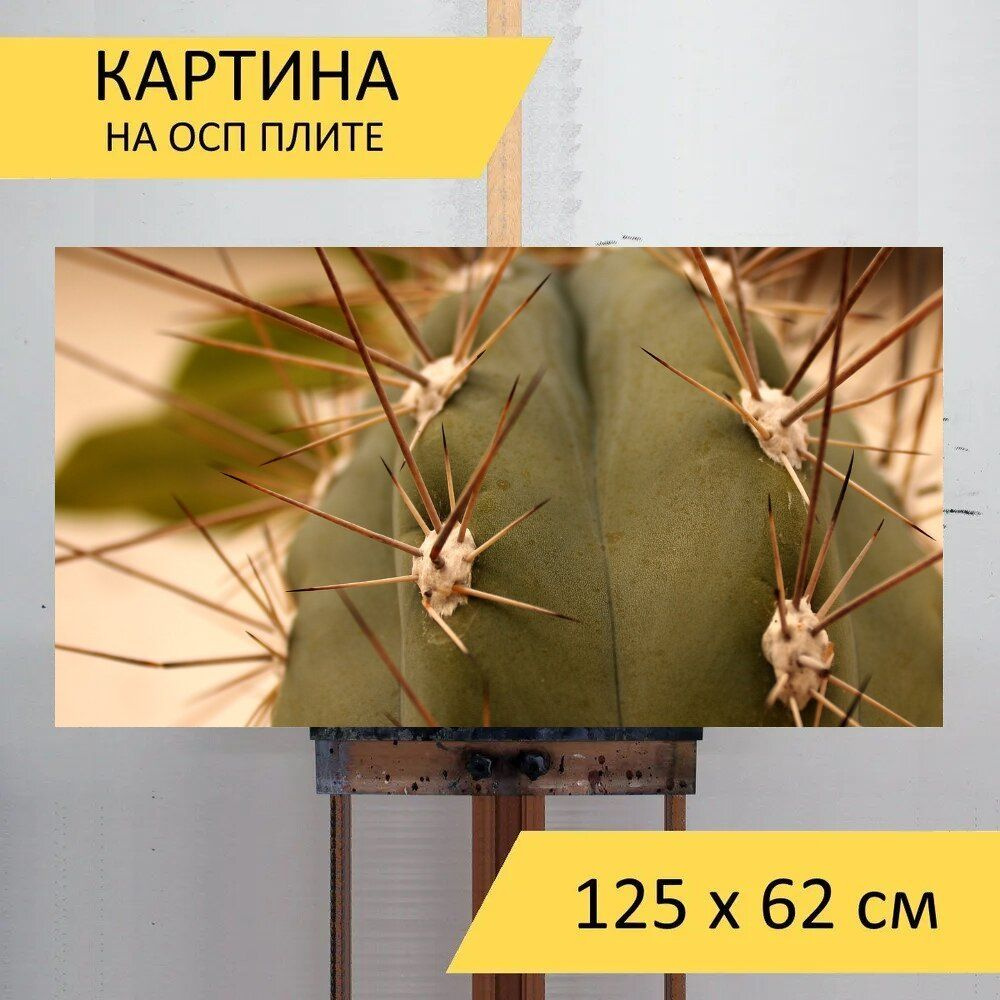 LotsPrints Картина "Кактус, иголка, трава 78", 125  х 62 см #1