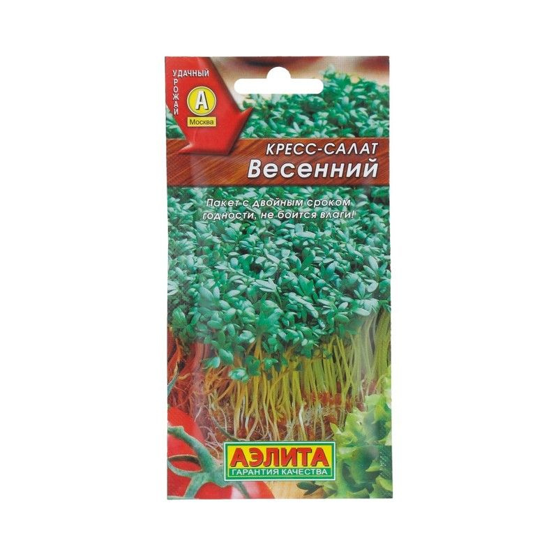 Семена Аэлиты Купить