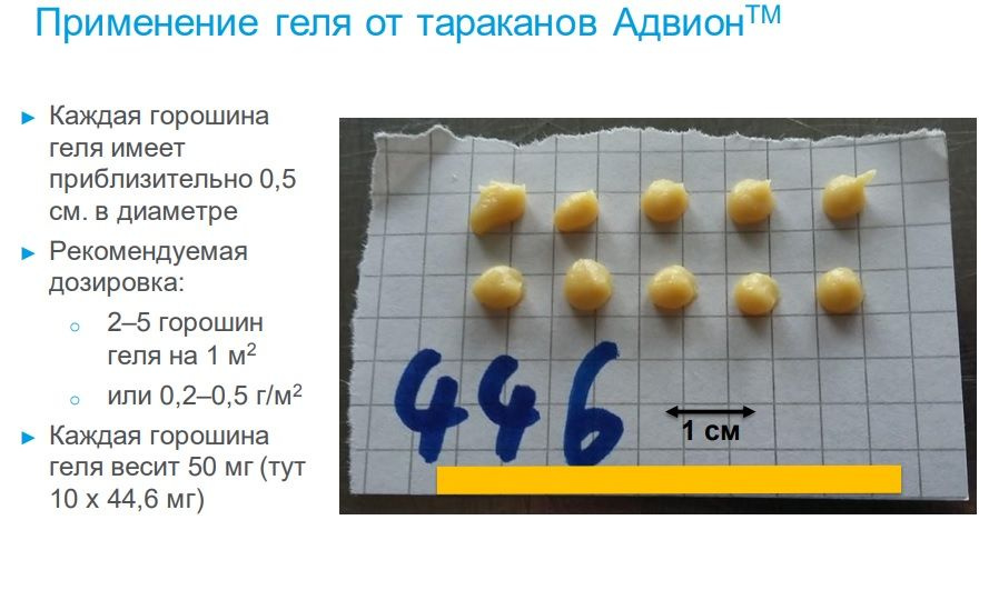 Текстовое описание изображения