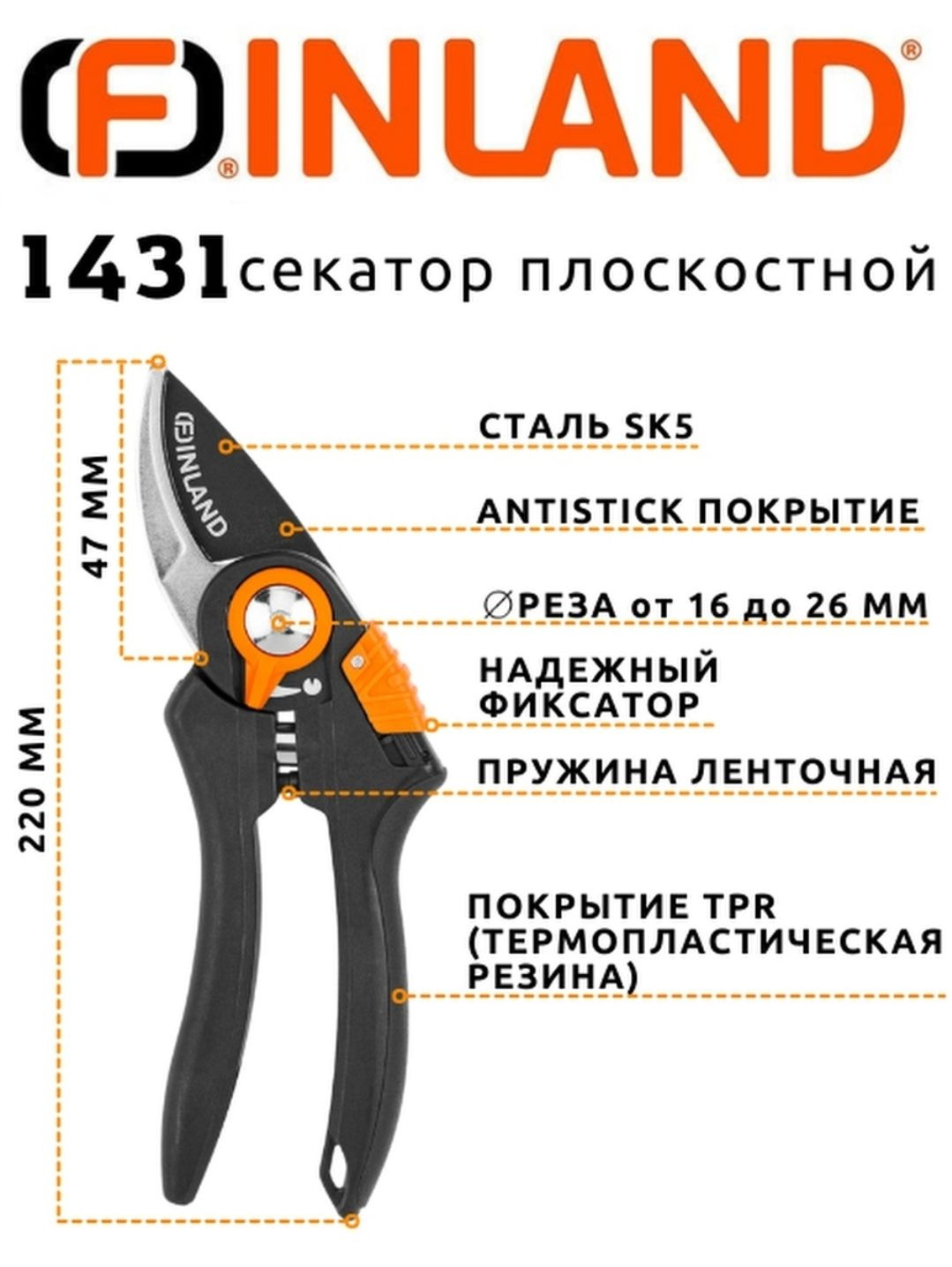 Текстовое описание изображения