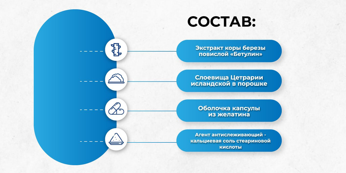 Текстовое описание изображения