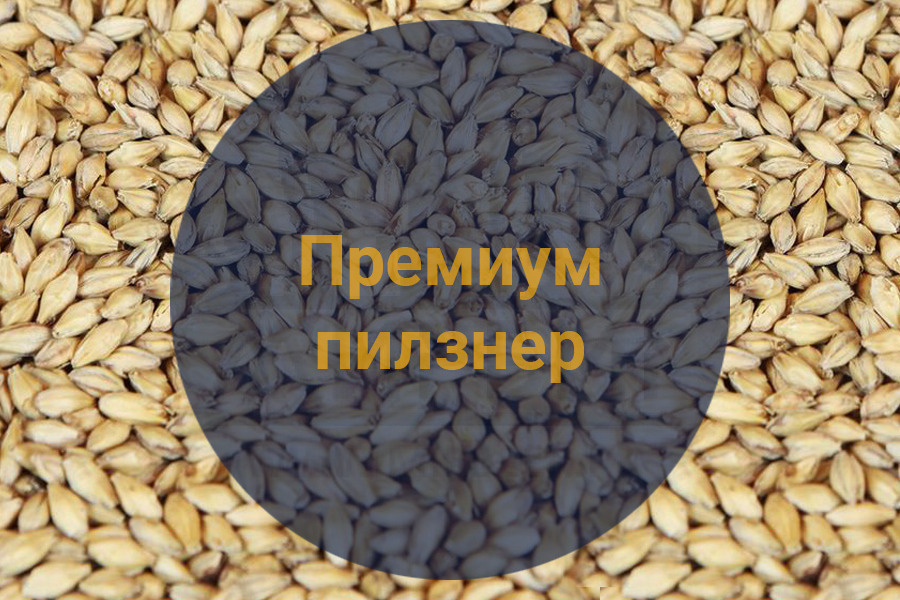 Солод Soufflet "Premium pilsner, 3-4 EBC" (Премиум Пилзнер), Франция, 1 кг, С ПОМОЛОМ  #1