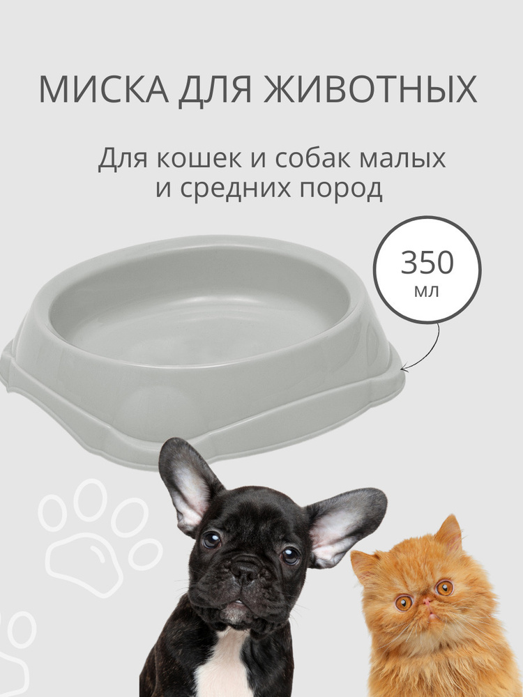 Миска для кошек, для собак DD Style / Пластиковая миска для воды и корма, светло-серый, 350 мл  #1