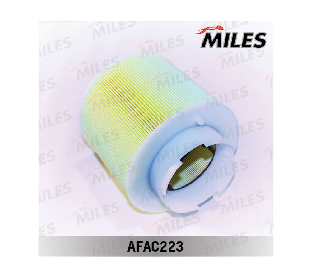 MILES Фильтр воздушный арт. AFAC223 #1