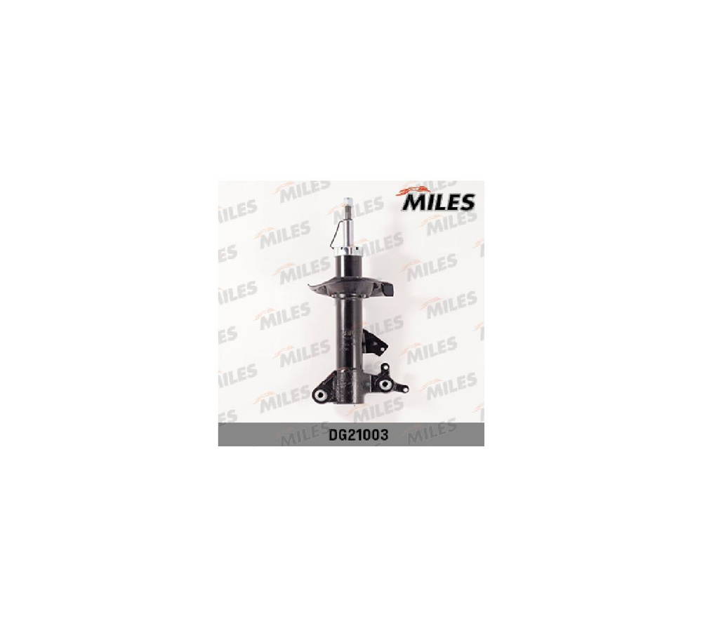 MILES Амортизатор подвески, арт. DG21003 #1