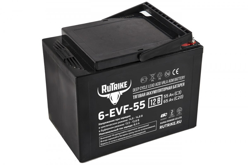 Тяговый аккумулятор RuTrike 6-EVF-55 (12V55A/H C3) #1
