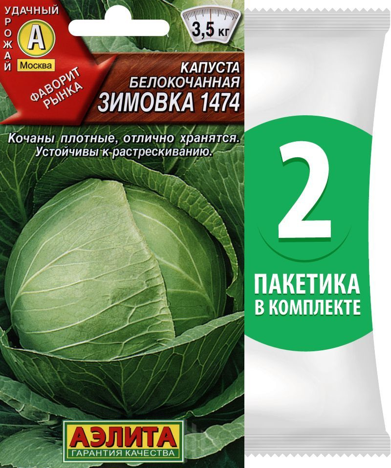 Семена Капуста белокочанная позднеспелая Зимовка 1474, 2 пакетика по 0,5г/125шт  #1