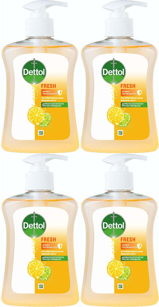 Жидкое мыло Dettol Антибактериальное c ароматом грейпфрута, комплект: 4 упаковки по 250 мл  #1