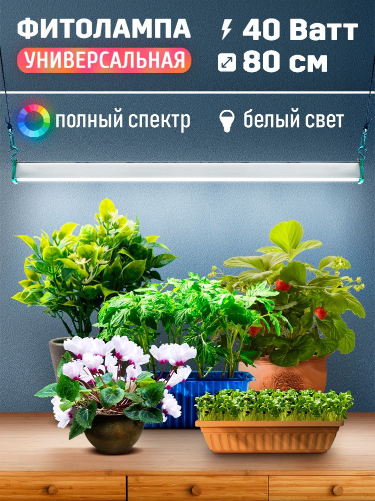 Светодиодная фитолампа для растений полного спектра MiniFermer Фулл Комфорт Samsung 4000К+660nm для клубники, #1