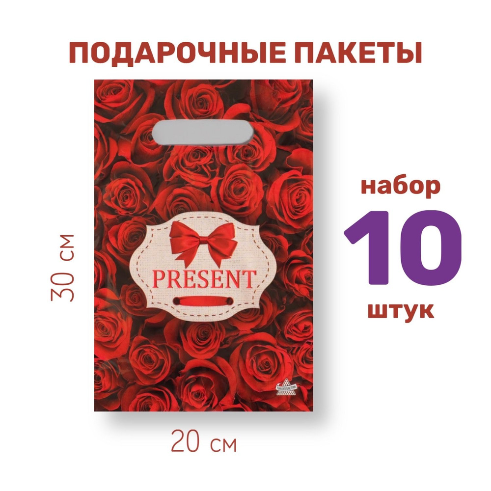 Пакет подарочный 20*30 см, 10 шт. #1