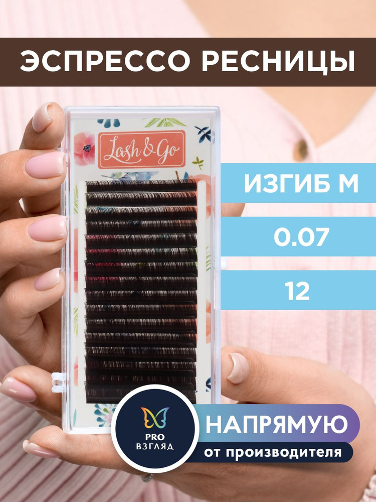 Lash&Go Ресницы для наращивания 0,07/M/12 мм коричневые "Эспрессо" (16 линий) / Лэш Гоу  #1