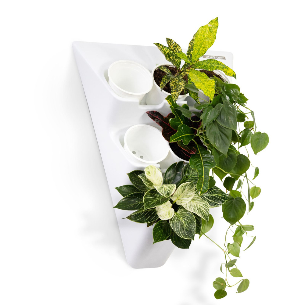 Фитомодуль BOXSAND DELTA (52х67 см) вместимость 6 растений в комплекте с белыми горшками 1 л  #1
